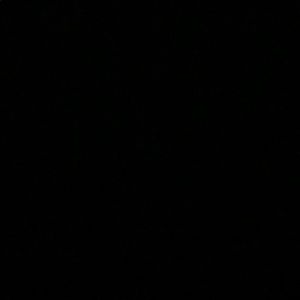 Meet your Posher, Bryan